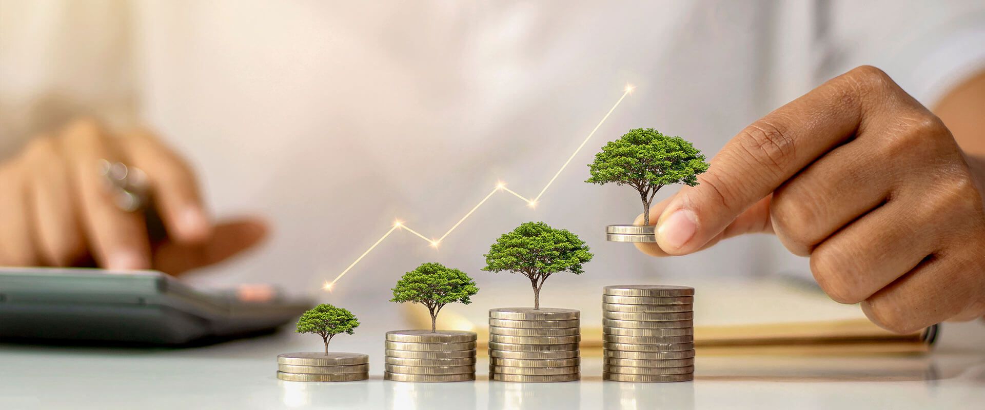 Savings Account