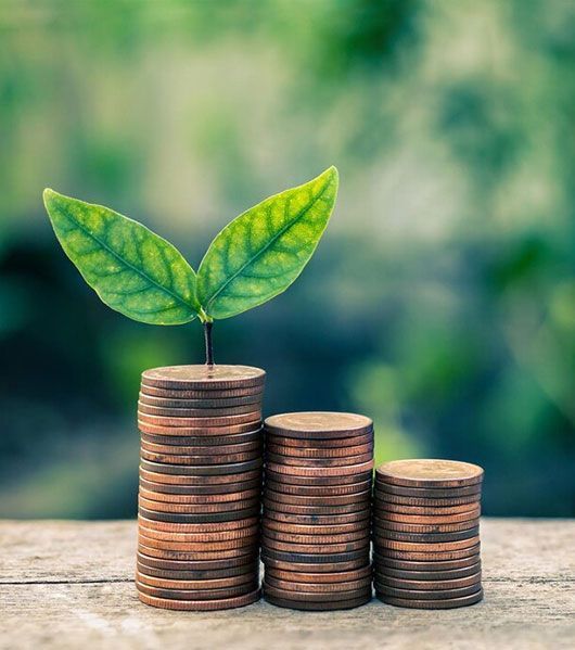 Daily Special Fixed Deposit Rates Sing Investments & Finance Limited